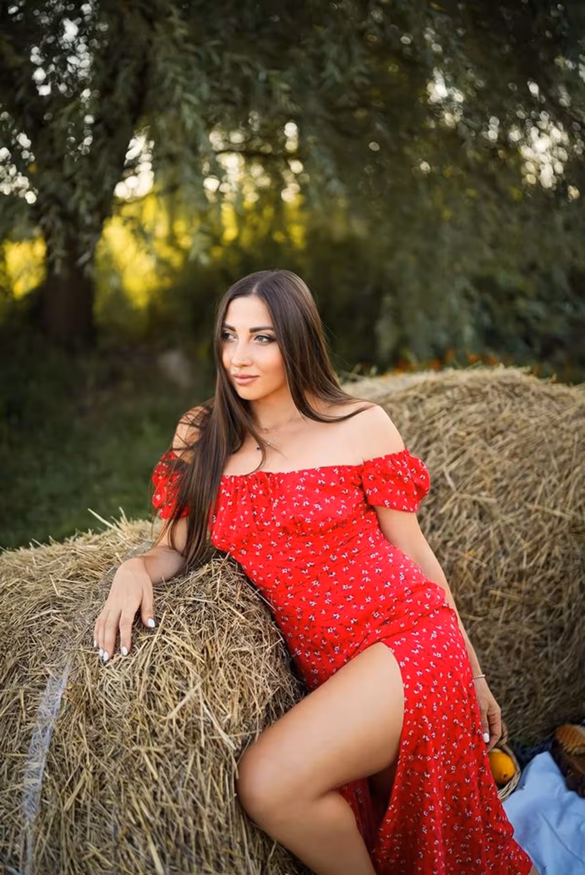 Viktoria ukraine brides profile