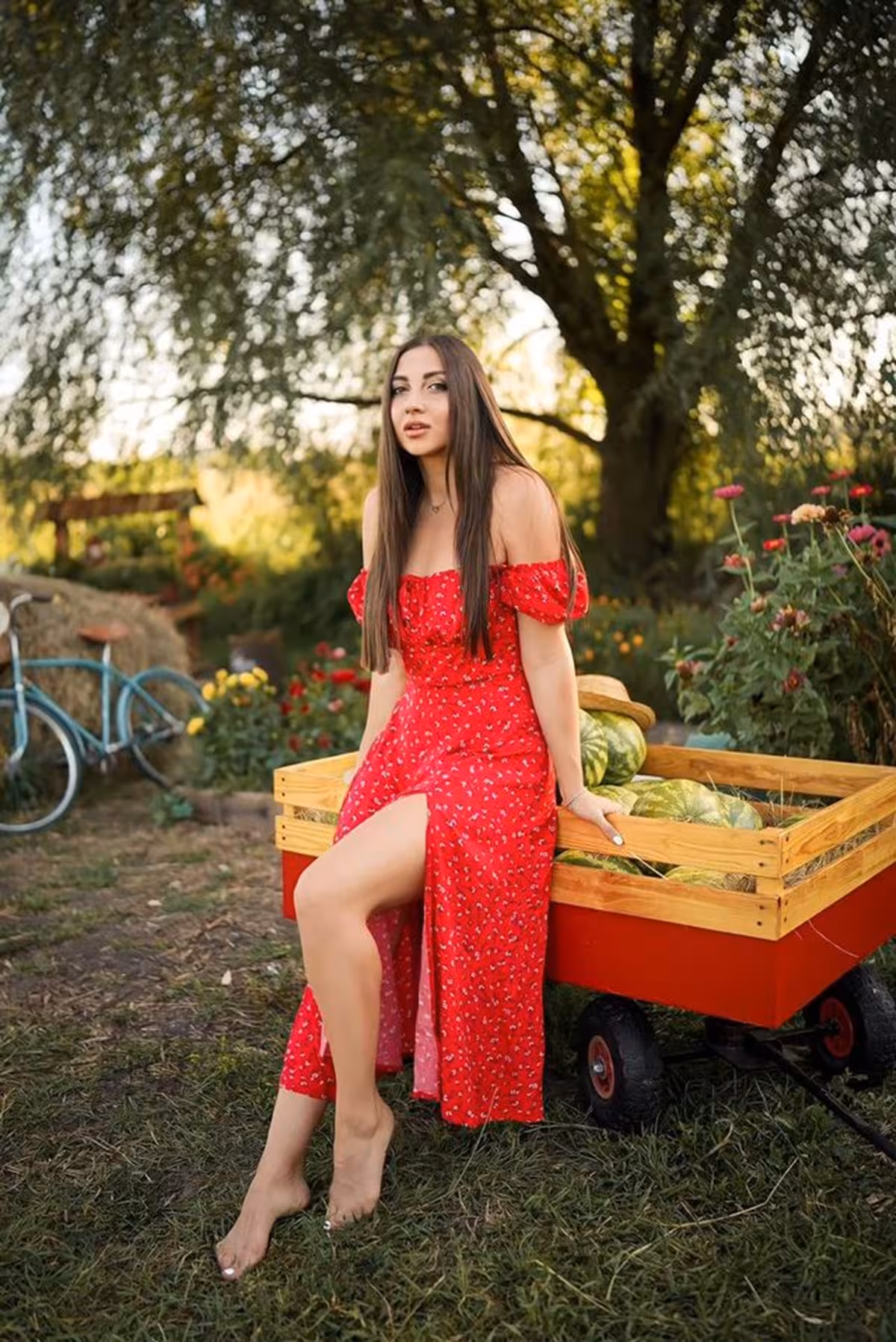Viktoria ukraine brides profile
